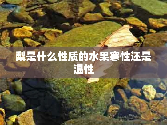 梨是什么性质的水果寒性还是温性