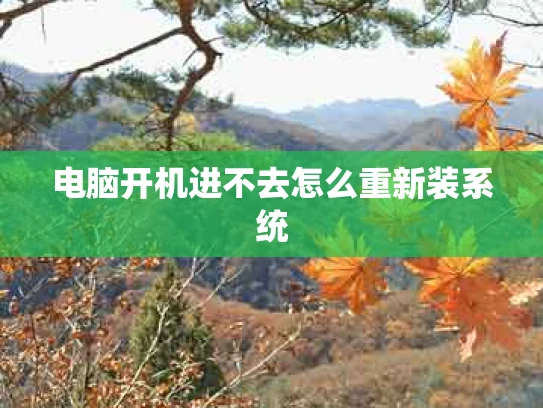 电脑开机进不去怎么重新装系统