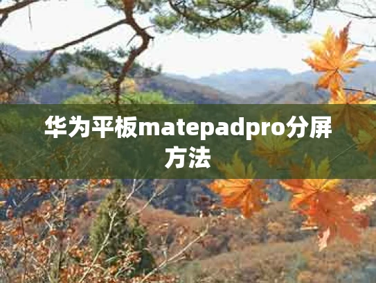 华为平板matepadpro分屏方法