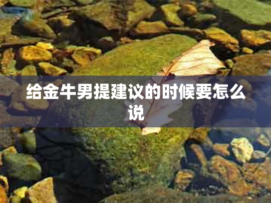 给金牛男提建议的时候要怎么说