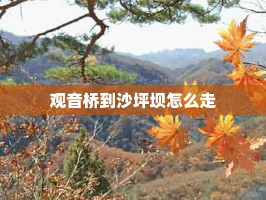 观音桥到沙坪坝怎么走