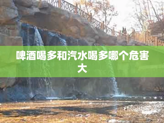 啤酒喝多和汽水喝多哪个危害大