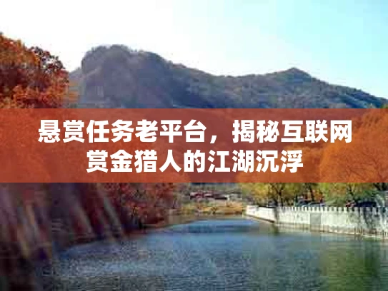 悬赏任务老平台，揭秘互联网赏金猎人的江湖沉浮