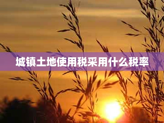 城镇土地使用税采用什么税率