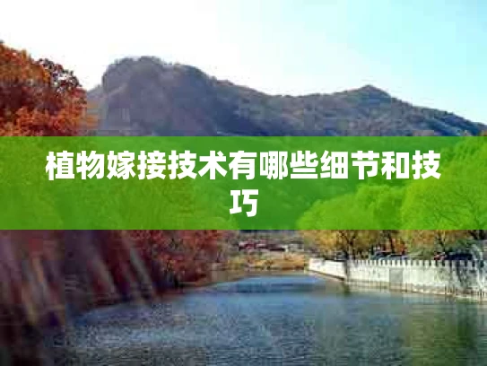 植物嫁接技术有哪些细节和技巧