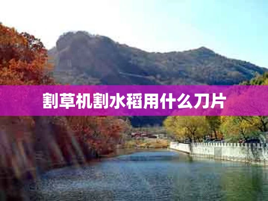 割草机割水稻用什么刀片