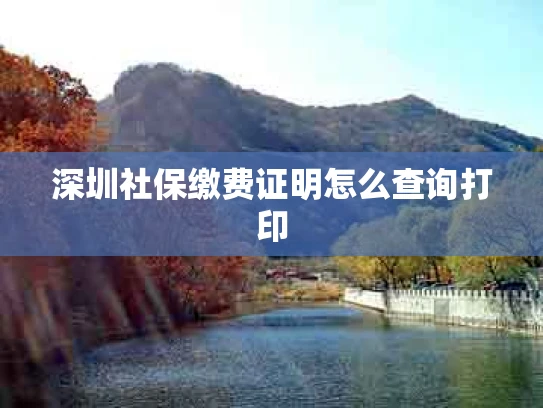 深圳社保缴费证明怎么查询打印
