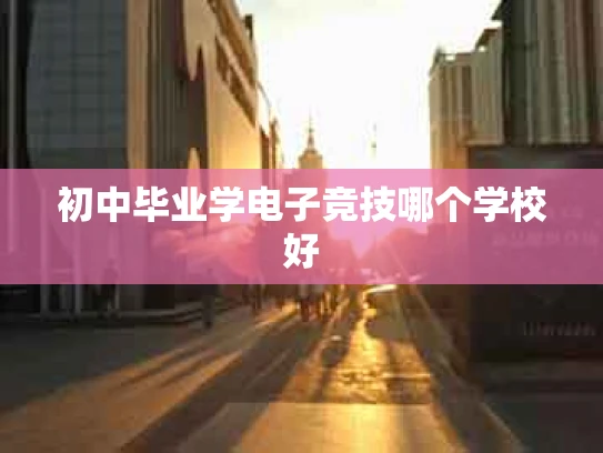 初中毕业学电子竞技哪个学校好