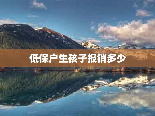 低保户生孩子报销多少
