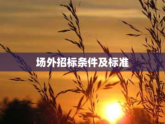 场外招标条件及标准