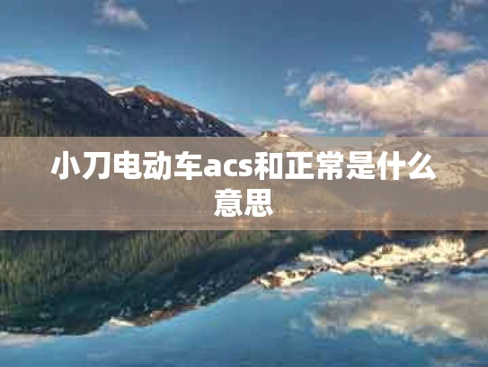小刀电动车acs和正常是什么意思