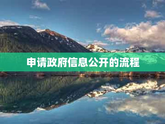 申请政府信息公开的流程