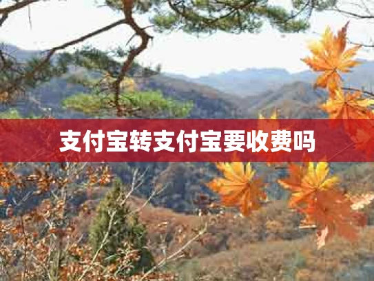 支付宝转支付宝要收费吗