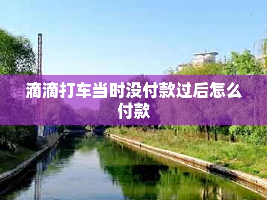 滴滴打车当时没付款过后怎么付款