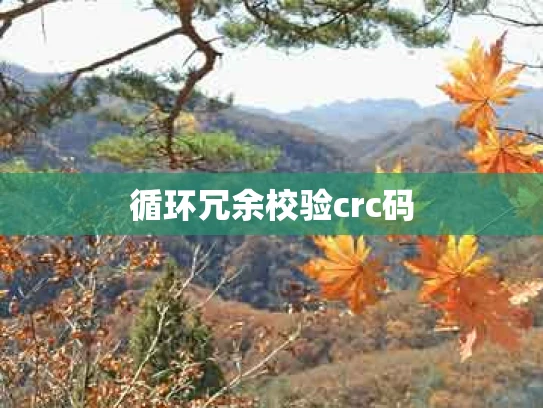 循环冗余校验crc码