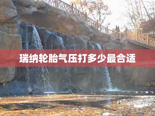 瑞纳轮胎气压打多少最合适