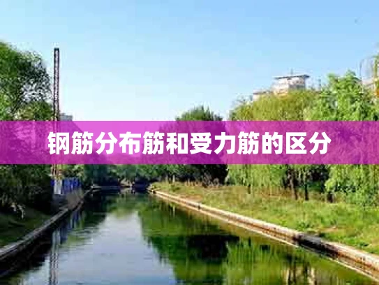 钢筋分布筋和受力筋的区分