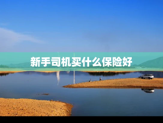 新手司机买什么保险好