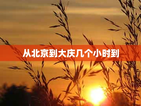 从北京到大庆几个小时到