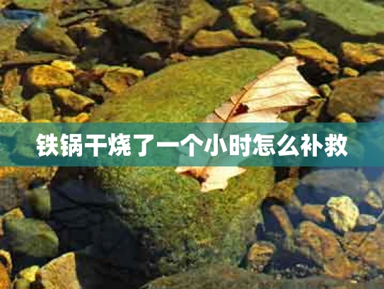 铁锅干烧了一个小时怎么补救