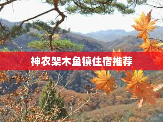 神农架木鱼镇住宿推荐