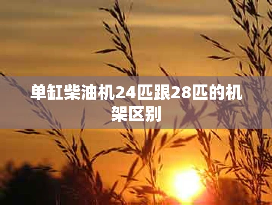 单缸柴油机24匹跟28匹的机架区别