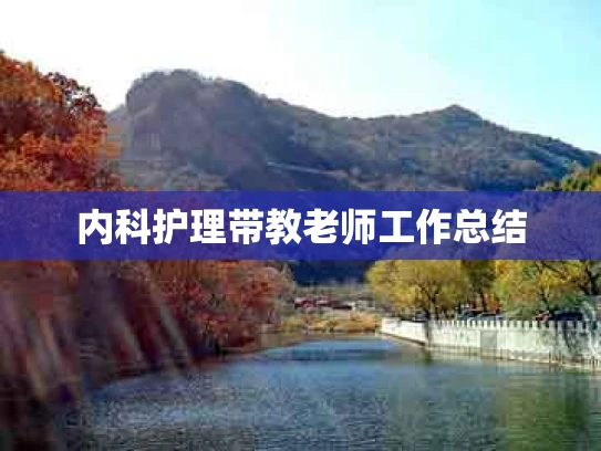 内科护理带教老师工作总结