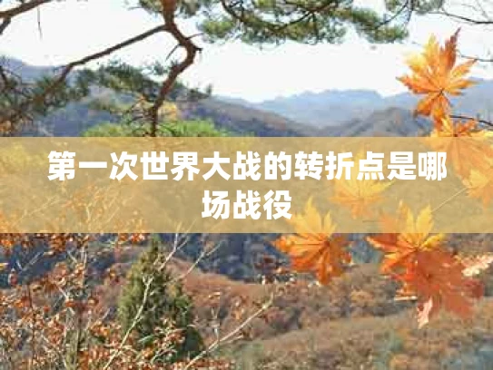 第一次世界大战的转折点是哪场战役