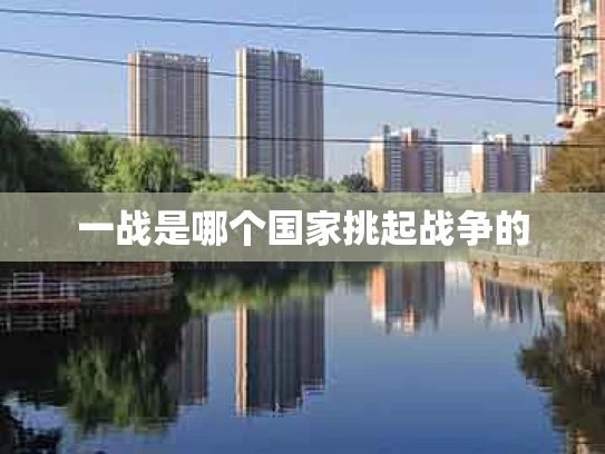 一战是哪个国家挑起战争的