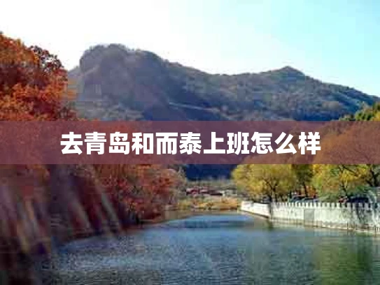 去青岛和而泰上班怎么样