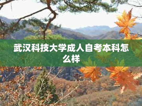 武汉科技大学成人自考本科怎么样