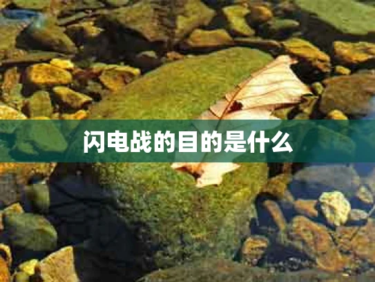 闪电战的目的是什么