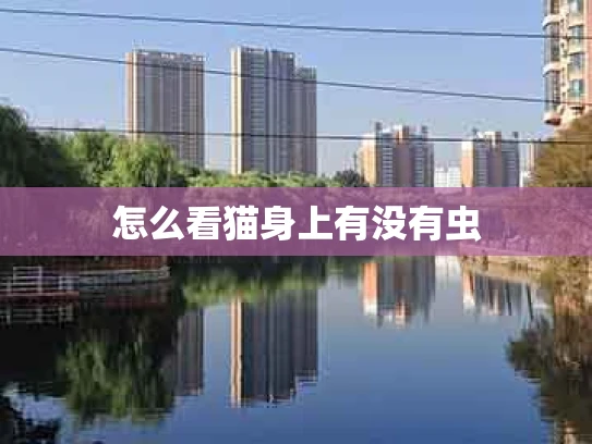 怎么看猫身上有没有虫