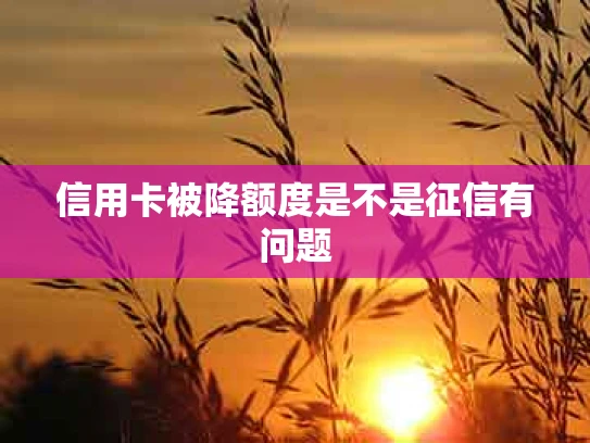 信用卡被降额度是不是征信有问题