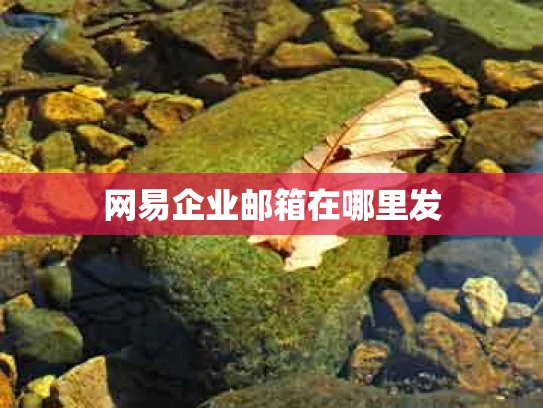 网易企业邮箱在哪里发