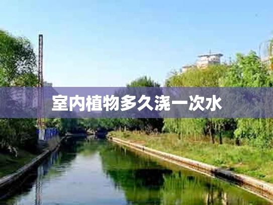 室内植物多久浇一次水
