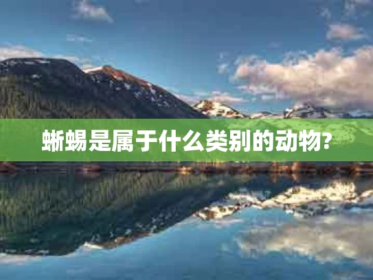 蜥蜴是属于什么类别的动物?