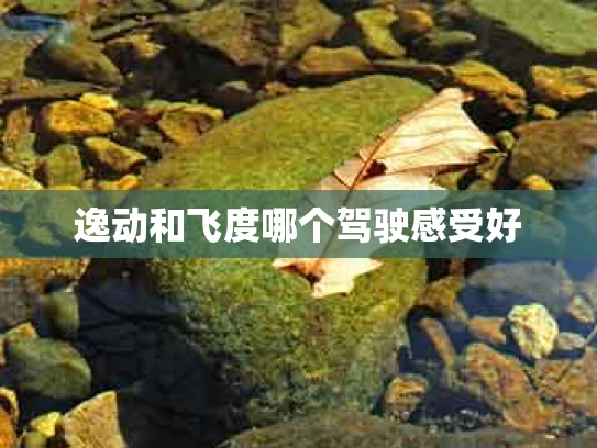 逸动和飞度哪个驾驶感受好
