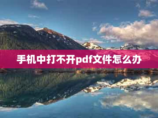 手机中打不开pdf文件怎么办