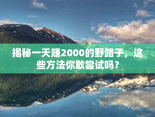 揭秘一天赚2000的野路子，这些方法你敢尝试吗？