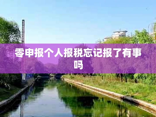 零申报个人报税忘记报了有事吗