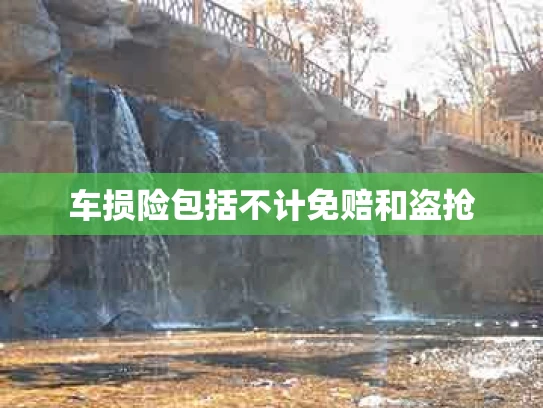 车损险包括不计免赔和盗抢