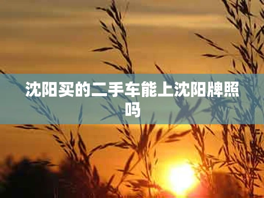 沈阳买的二手车能上沈阳牌照吗
