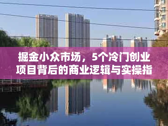 掘金小众市场，5个冷门创业项目背后的商业逻辑与实操指南