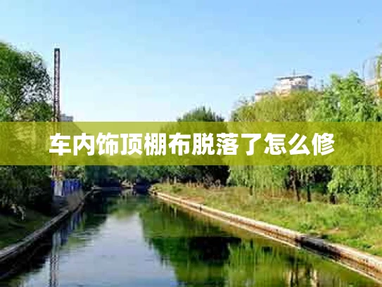 车内饰顶棚布脱落了怎么修
