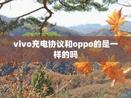 vivo充电协议和oppo的是一样的吗