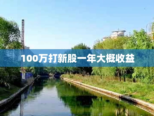 100万打新股一年大概收益
