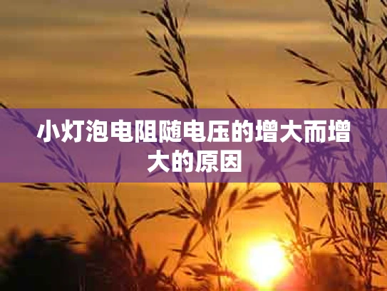 小灯泡电阻随电压的增大而增大的原因