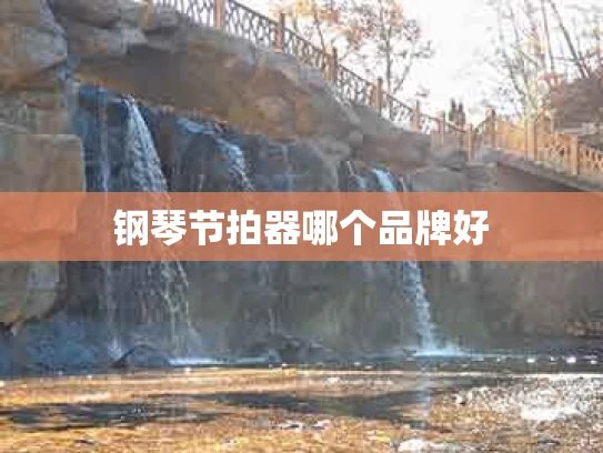 钢琴节拍器哪个品牌好