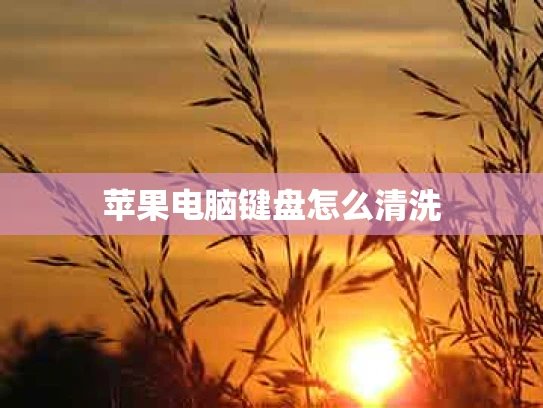 苹果电脑键盘怎么清洗